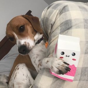 Meet your Posher, Heidi